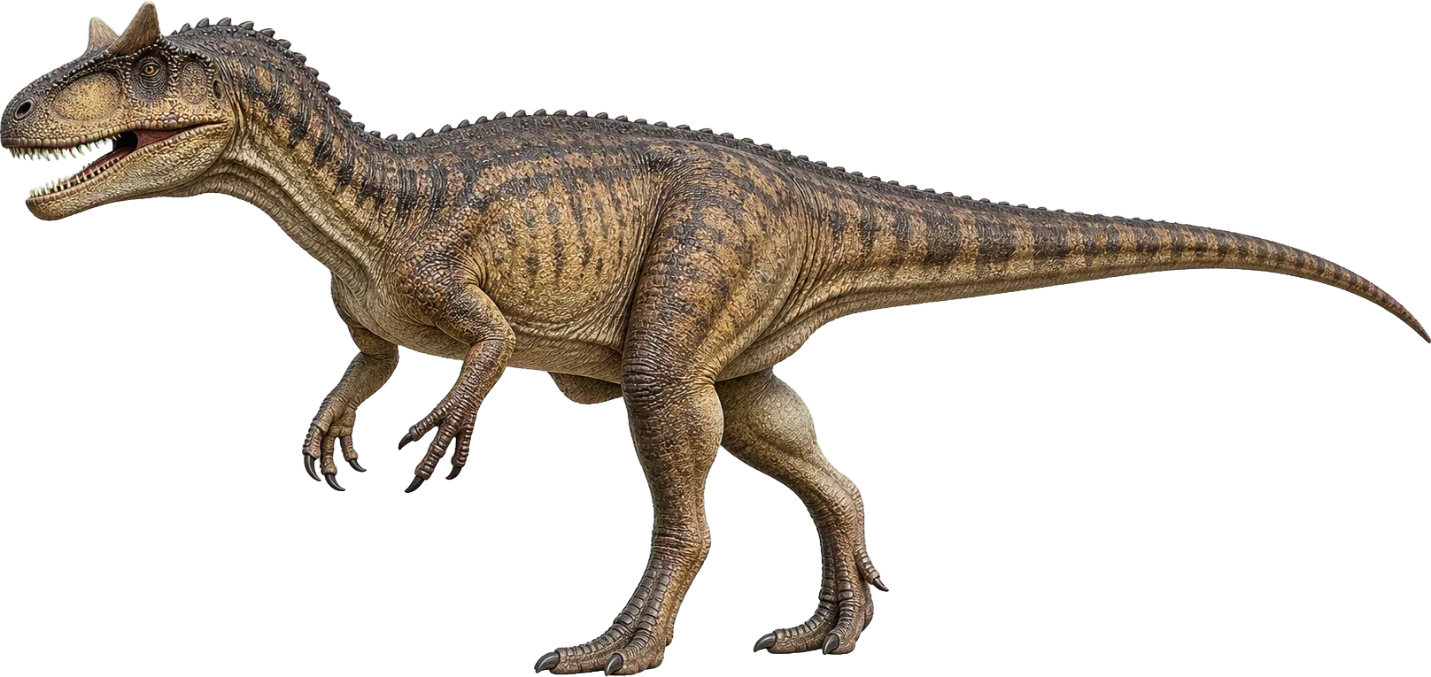 Allosaurus steht neben einem Kind; die Körperhöhe wirkt groß, die volle Länge kommt durch den Schwanz.