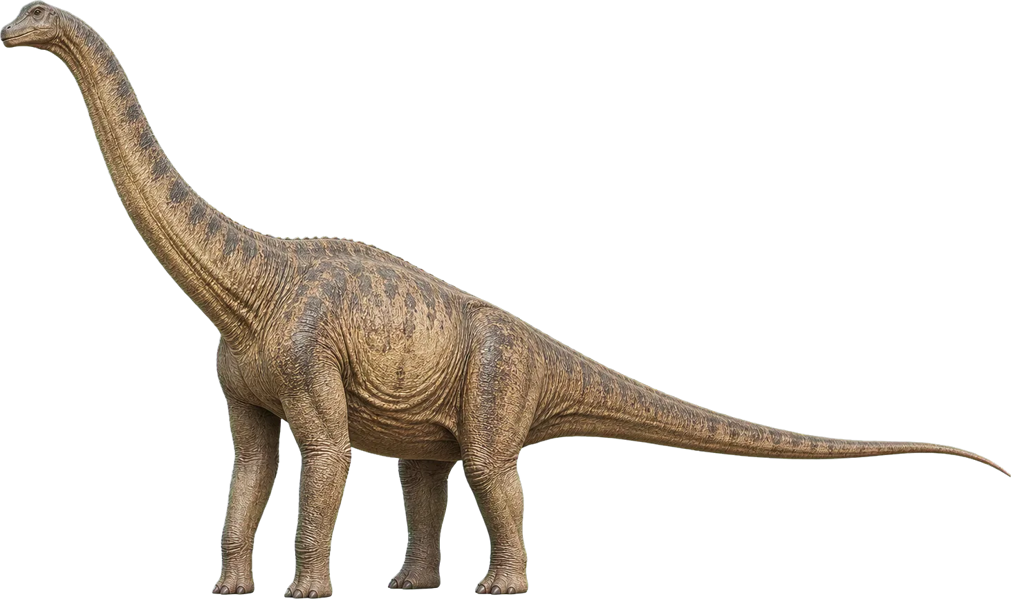 Sehr hoher Brachiosaurus steht neben einem Kind, seine Schultern überragen die Figur deutlich.
