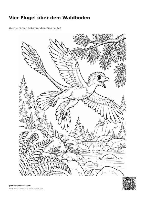 Vier Flügel über dem Waldboden