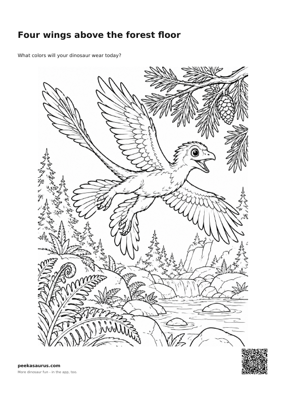 Four wings above the forest floor