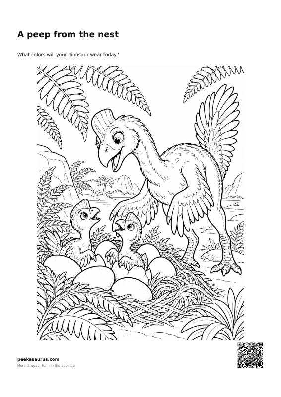 A peep from the nest