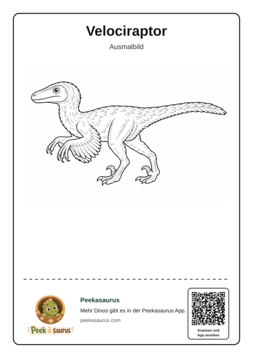 Velociraptor