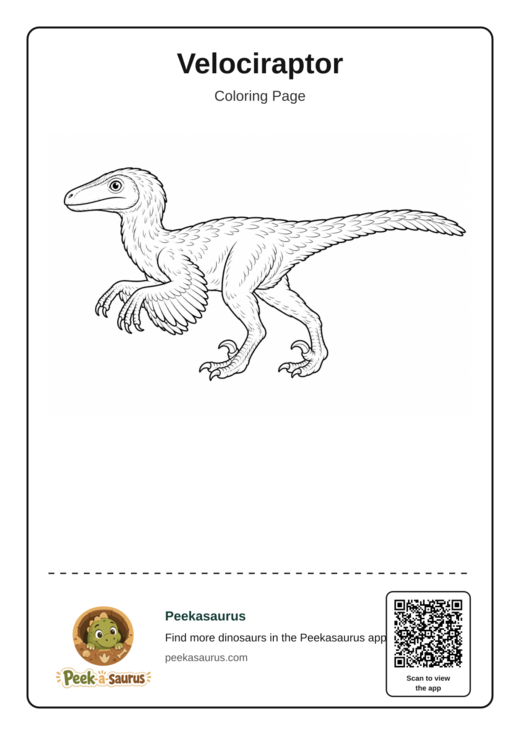 Velociraptor